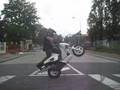 100% stunty