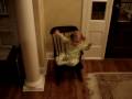 My rocker from Aunt Kym