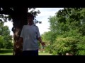 Click here to watch this video Michael F Kangeroo