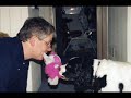 Cute and Funny Dog Pictures!  Muggins--The Canine With Confi