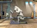 Cilly icebear: Hometrainer