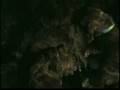 Boyero de Flandes video