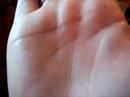 Read my palm please shikishinobi Read my palm please shikishinobi