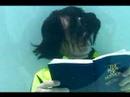 Aqua Man Aqua Man