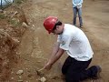 campo economica 164