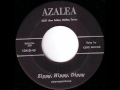 Coye Wilcox - Zippy Hippy Dippy