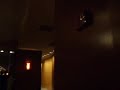 Fire Alarm at the Grand Hyatt in Downtown Seattle