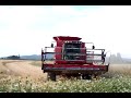 Willamette Valley wheat harvest - Oregon Willamette Valley wheat harvest - Oregon