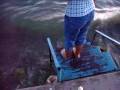 videos de Ohridsko TOPLO leto i....