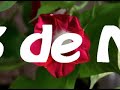Dia das mães