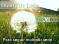 Proyecto Diente de León México: Desarrollo de Líderes
