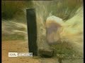 Royal Armouries Police firearms film clip