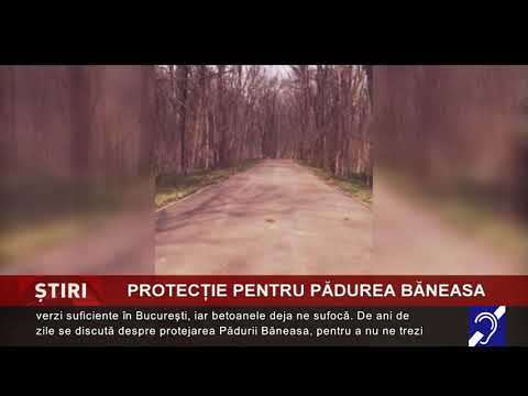 Protecție pentru Pădurea Băneasa