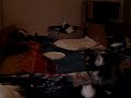 Puppies , five weeks old