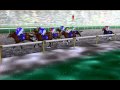 かしわ記念動画11