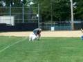 Frisbee dog