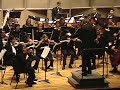 Brahms Symphony no. 2 (3rd mvt)