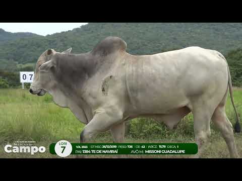 1 De Olho na Fazenda SELEO DO CAMPO