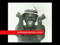 1984 - Eek-A-Mouse plug for WYSO Rasta Vibrations