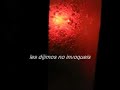 No sabemos nada. Ni de la película montada en Roquetas y terminada en 2005 en Donosti, ni de nuestros amigos actores, ni del gato vamos,nada repito, no queda mas que el TRAILER. Si por casualidad haceis ouija preguntadle al demonio por su paradero si haceis el favor. Por cierto como al final salen tres macizorras sin venir a cuento, merece la pena la de la izquierda jarll, bueno la otra rapada no está mal, lo he de reconocer, se parece a isabel coixet y la otra al pelos de astrud
