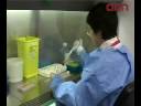 El-Cl-nic-experiment