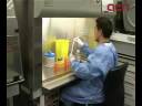 El-Cl-nic-experiment