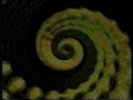 DRUM-FM \"CREATION STEP\" @ Barbican Centre, London (promo)