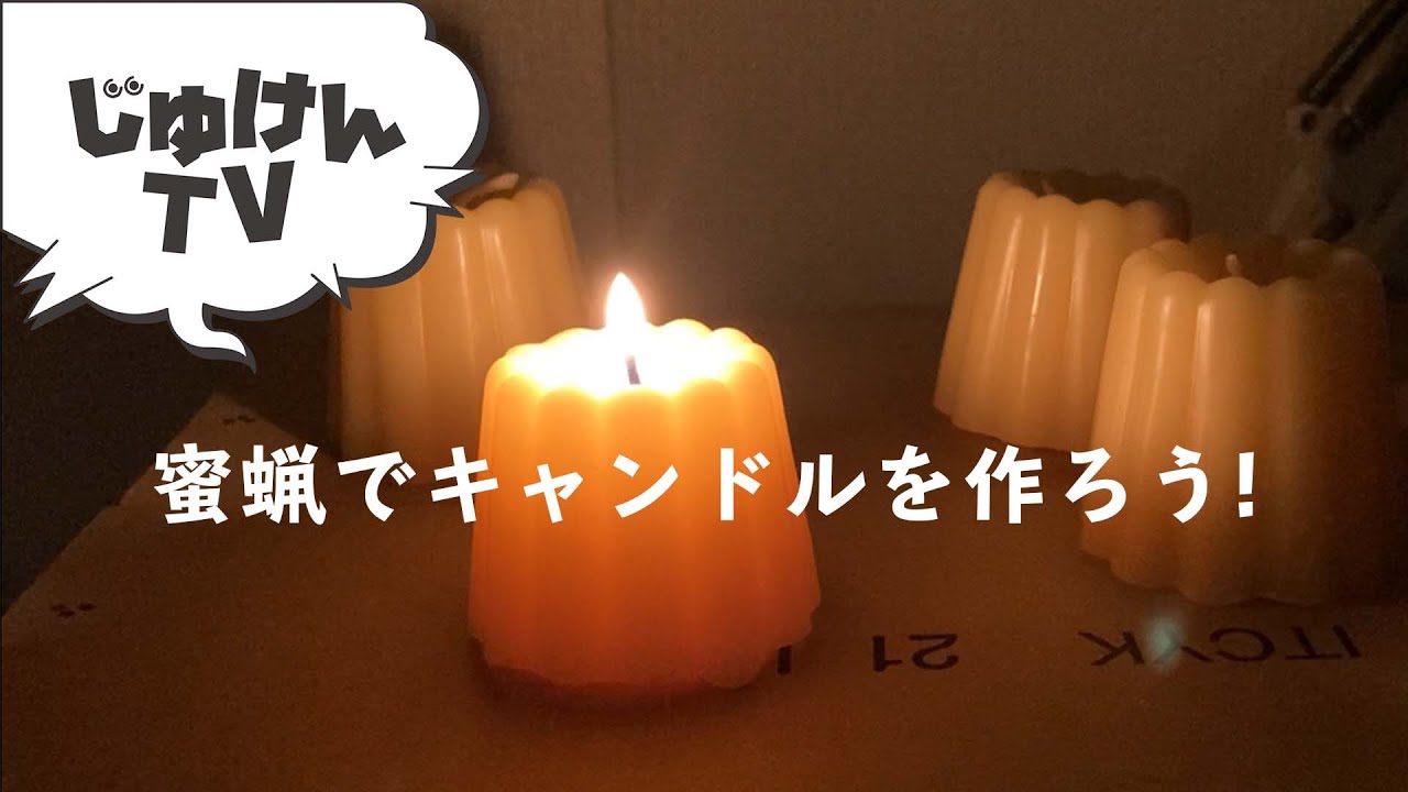 動画2