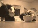 How to make cereal How to make cereal