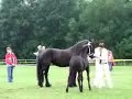 keuring Vriend