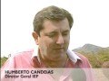 Governo de Minas comemora Semana Florestal com meta de plantio de vegetação nativa