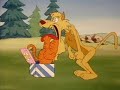 Wild Cat Heathcliff Wild Cat Heathcliff
