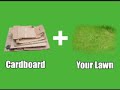 Lawns To Gardens - Episode 1