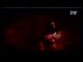 Feline (Die So Fluid) - Sun in my eyes