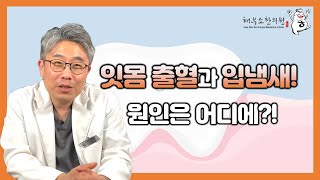 잇몸출혈로 인한 입냄새의 원인