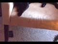 Annoying Tessa