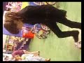 Chiper fait du BabySkatebord Chiper fait du BabySkatebord