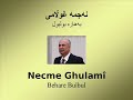 Necme Ghulamî - Behare Bulbul Necme Ghulamî - Behare Bulbul