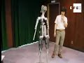 Peligra el trabajo de modelos de alta costura