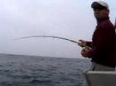 Snowfly Fishing
