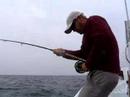 Snowfly Fishing