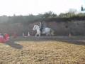 videos de chevaux 0002