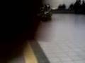 un mec saute sur le sapin de la coupole d'appert