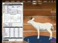 Albino Buck - Deer Hunter 2005