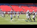 Dolphins Game