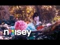 Ice Moon (Official Video) 
