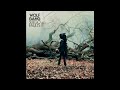 Wolf Gang - Midnight Dancers