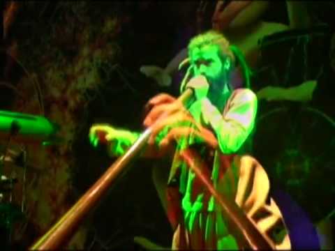 OLIVETREEDANCE - OliveTree danças?