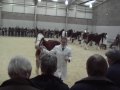 Arradoul Balvenie - Winter Fair 2009