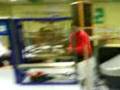 MOV00816.3GP